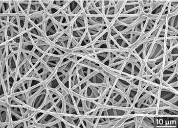 Figure 7: Scanning electron microscopy image of a porous copolymer scaffold [1]